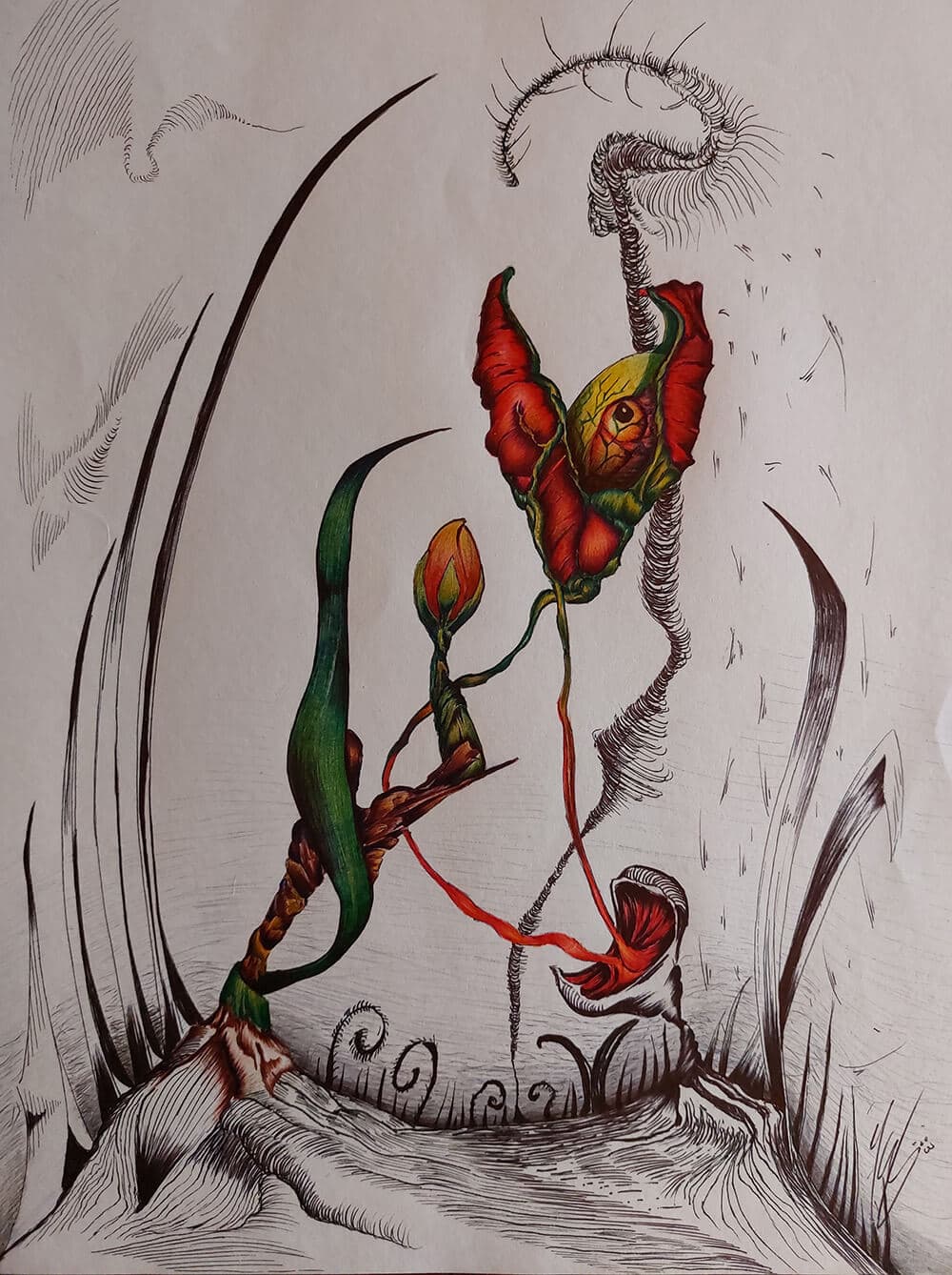 Jardín Carnívoro